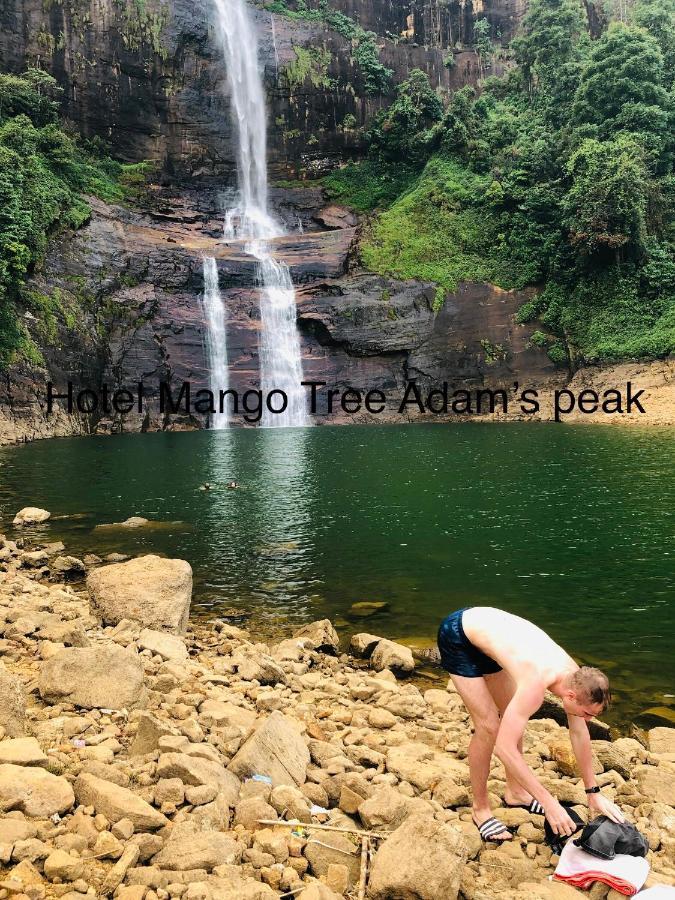 Hotel Mango Tree Nearest Adam'S Peak Nallathanniya Exterior photo